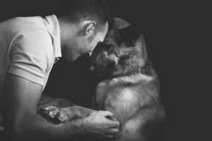 fotografiadianimaliecaniritrattidifamigliasimonelucafotografia