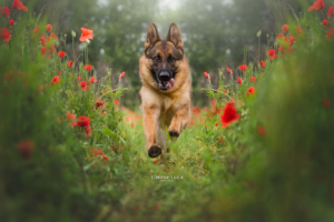 servizifotograficicinofilimilanoetuttaitaliasimonelucafotografie