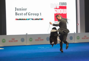europeandogshowvarsavia2018shootingfotografici