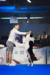 servizifotogrficicinofiliitaliaeuropaeuropeandogshowvarsavia2018